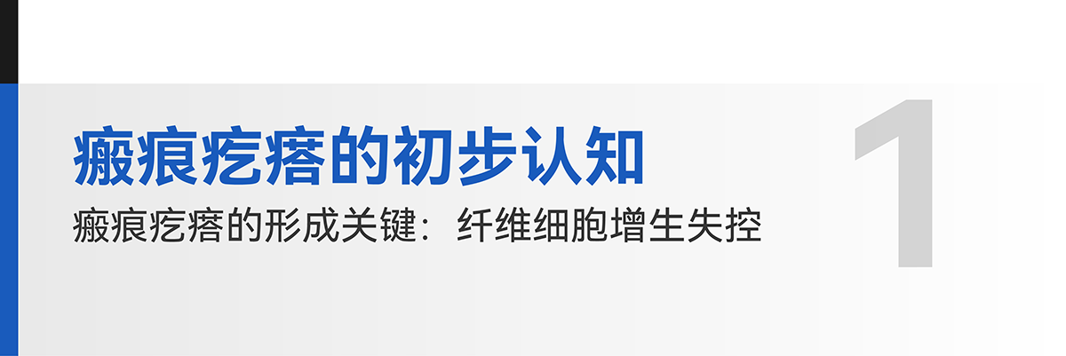 CMEF文章_画板 1 副本 5.png