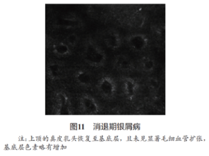 文章图片-11.jpg