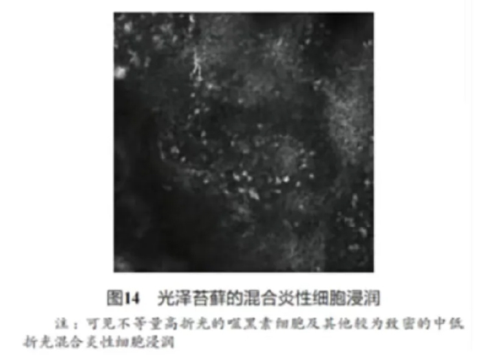 文章图片-13.jpg