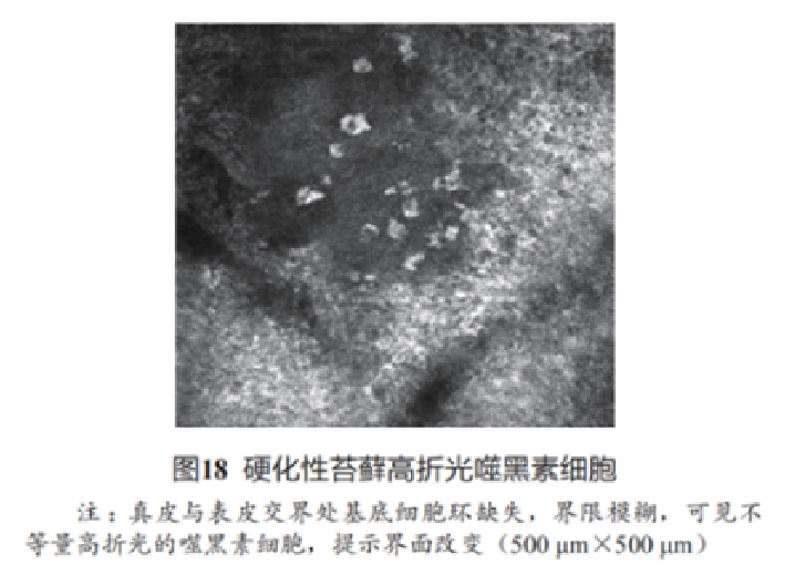 文章图片-17.jpg