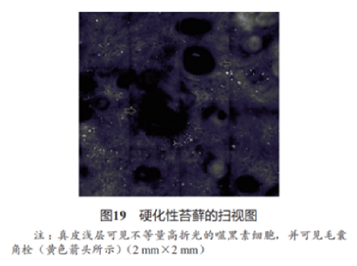 文章图片-18.jpg