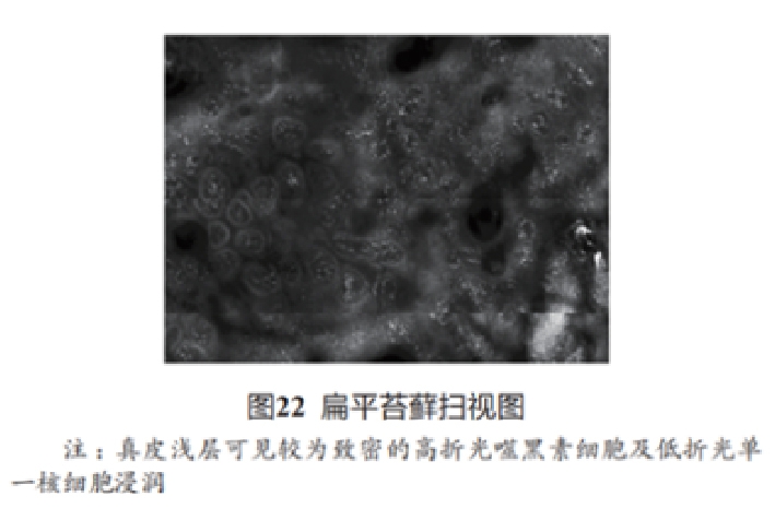 文章图片-21.jpg