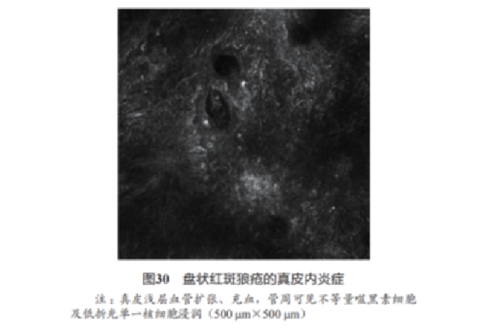 文章图片-27.jpg