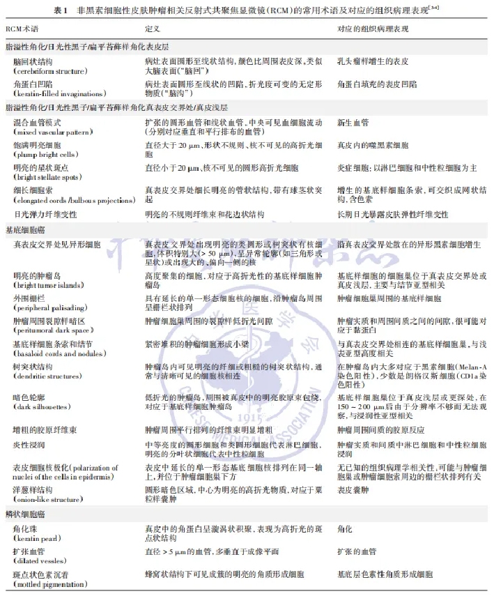 学术前沿丨常见非黑素细胞性皮肤肿瘤的反射式共聚焦显微镜特征专家共识(2025版)-02.jpg